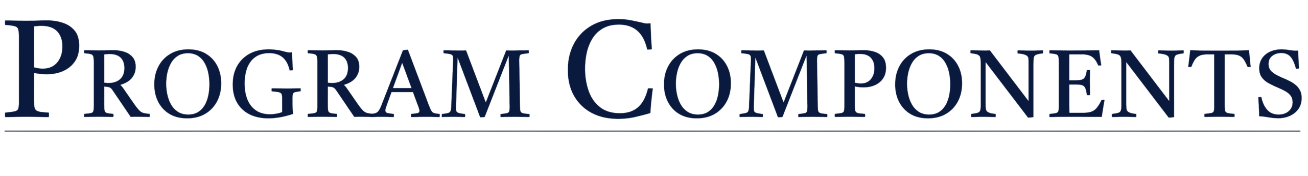 PROGRAMCOMPONENTSAsset 12