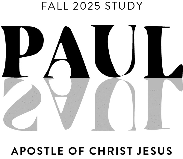 Asset 5