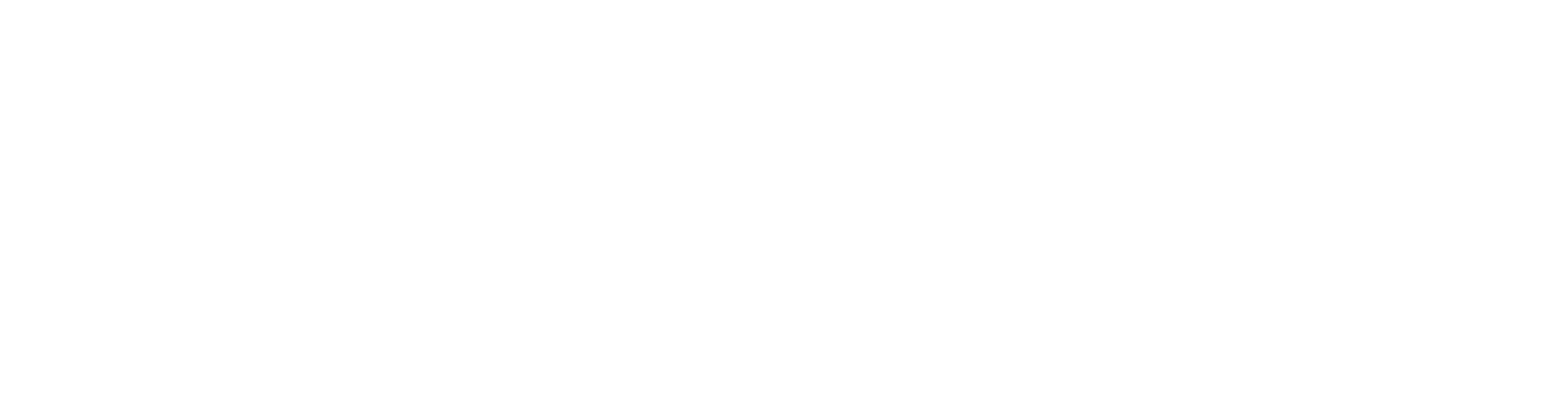 Asset 8
